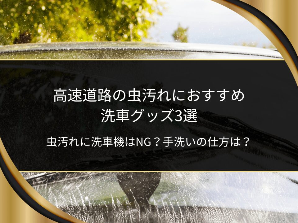 高速道路虫洗車