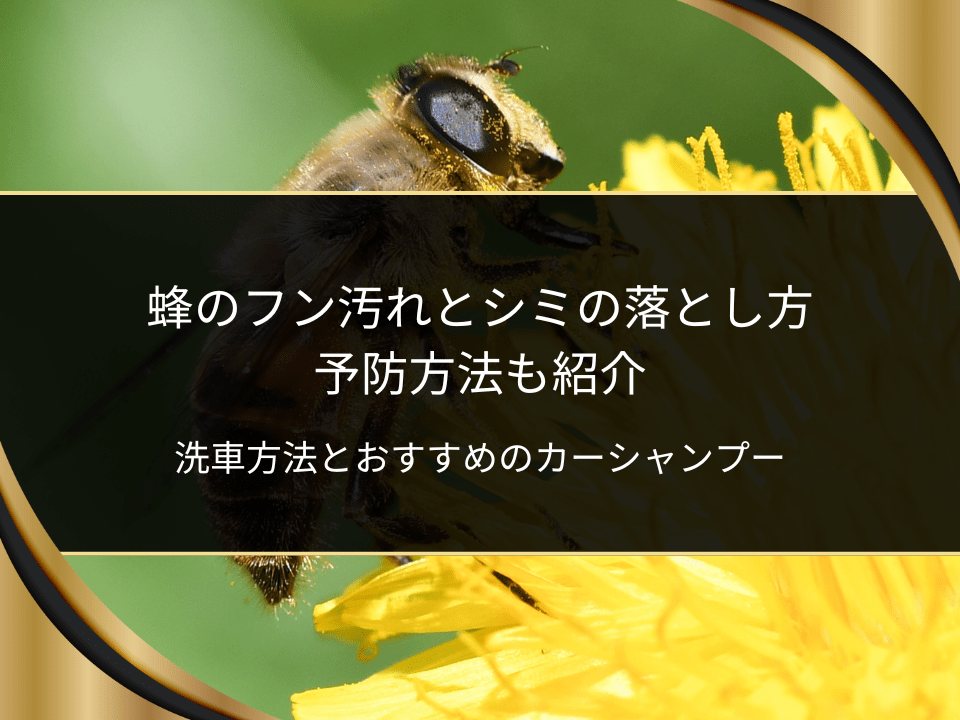 車・蜂のフン落とし方