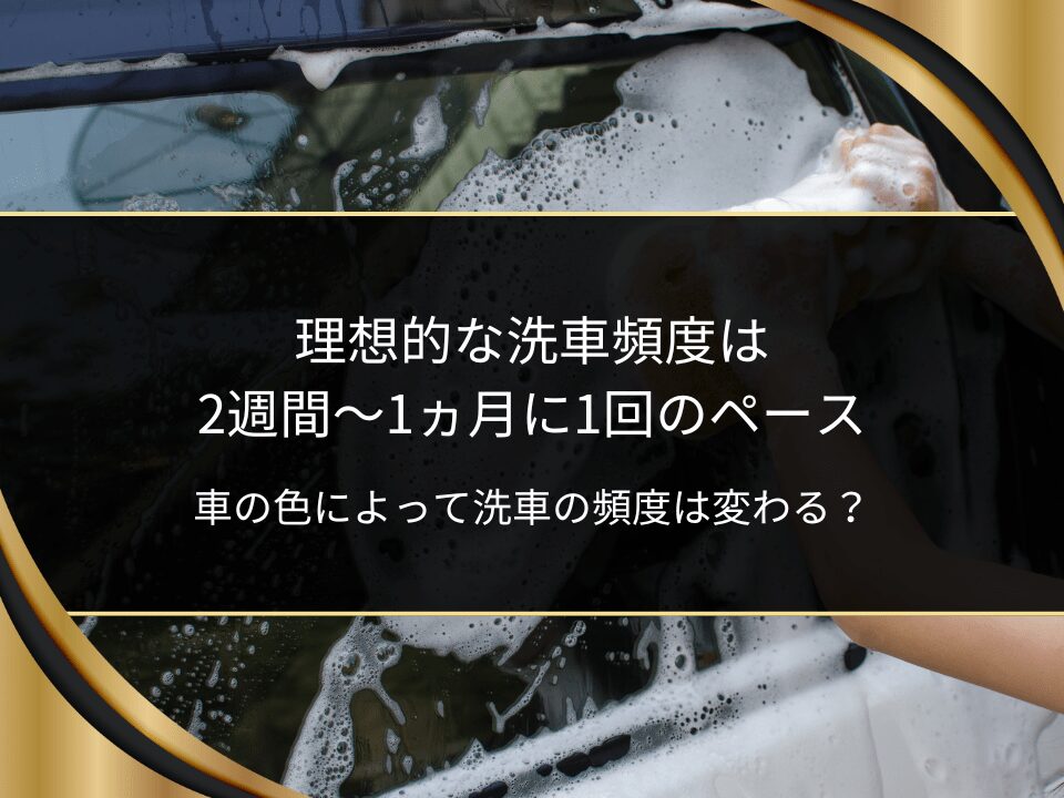 洗車頻度