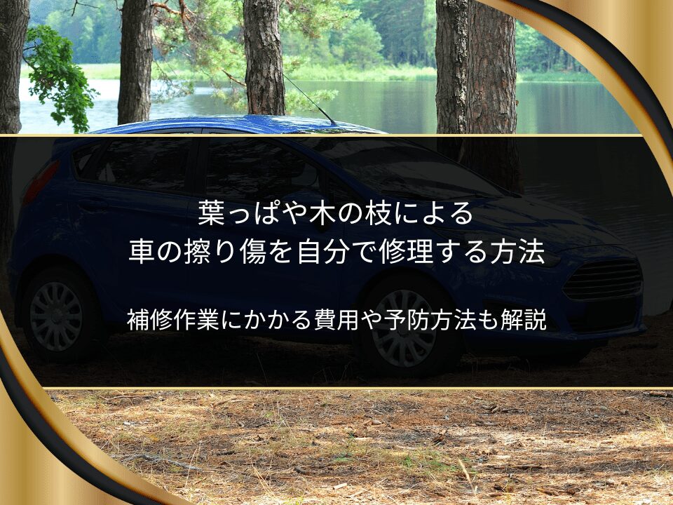 車葉っぱ傷
