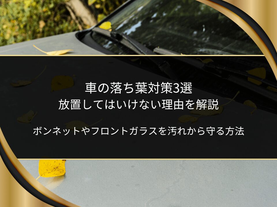 車落ち葉対策